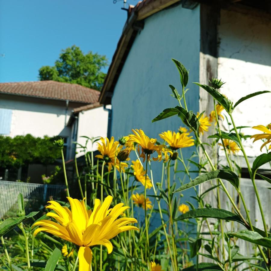 Chambres D'Hotes Villa Lortin Pouillon Exterior foto